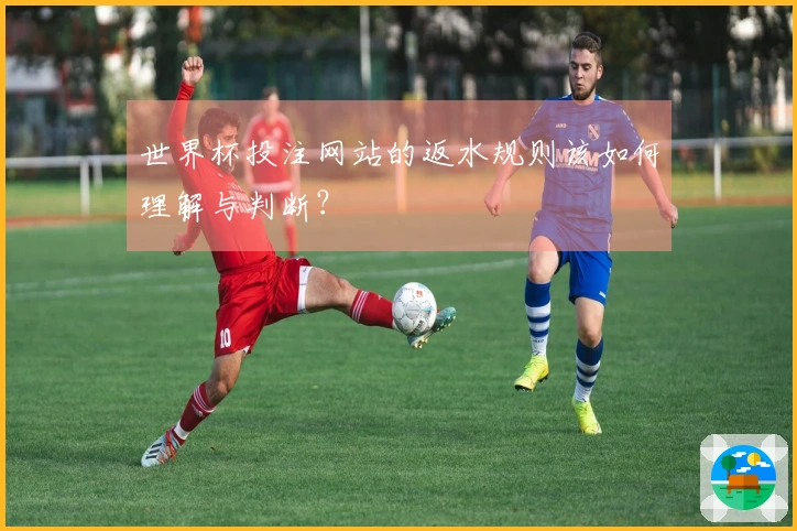世界杯投注网站的返水规则该如何理解与判断?