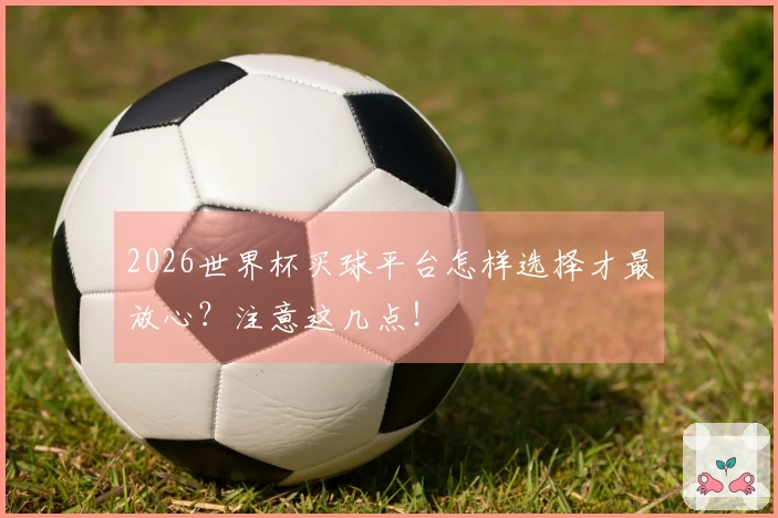 2026世界杯买球平台怎样选择才最放心?注意这几点!